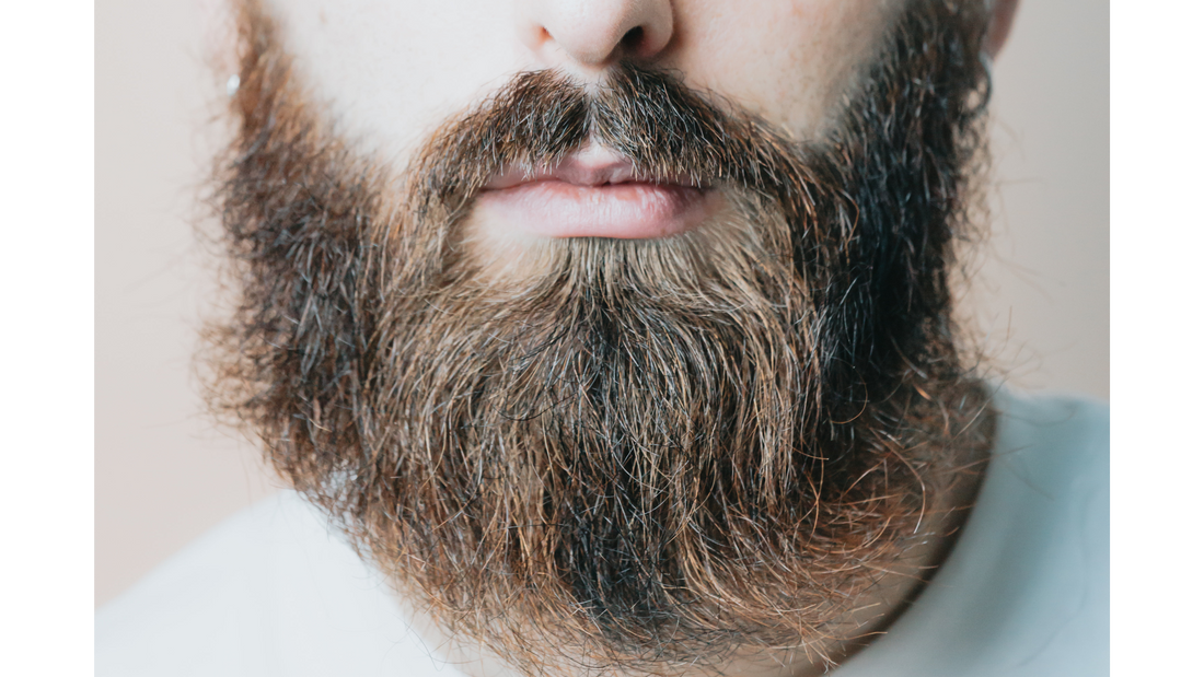 The Ultimate Guide to Beard Care -  How to Take Care of Your Beard